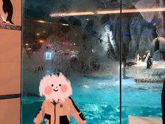 -帝企鹅自助餐厅•儿童岛•真企鹅(长隆企鹅酒店)