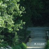北京周边游｜周末自驾好去处，归隐山水间[加油]