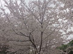 -堤角公园