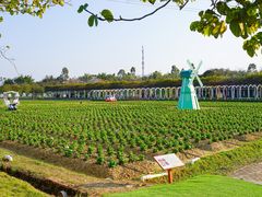 -盈香心动乐园