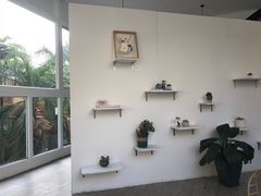 -有猫主题·治愈系猫咖(曾厝垵店)