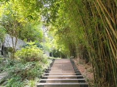 -白沙古井