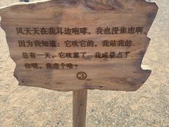 -敦煌雅丹国家地质公园