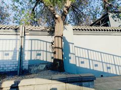 -陶然亭公园