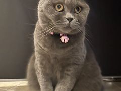 -PETKIT 小佩宠物·低压洗护·美容·寄养(安远店)