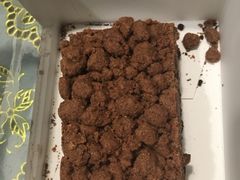 -Awfully Chocolate(来福士广场店)