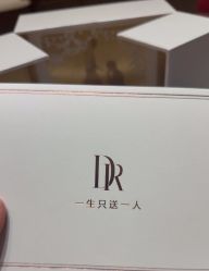 -DR钻戒(成都银泰城店)