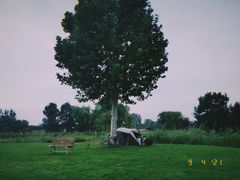 -安德鲁户外烧烤帐篷营地(马泉营店)