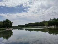 -大兴滨河森林公园