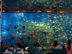 -瑞德姆美人鱼海底演艺主题餐厅(亚龙湾店)