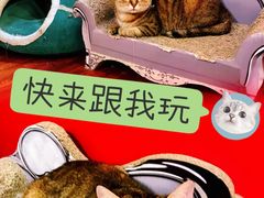 -H立方实景剧情密室(天河旗舰店)