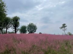 -汉长安城未央宫国家考古遗址公园