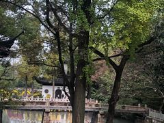 -汇龙潭