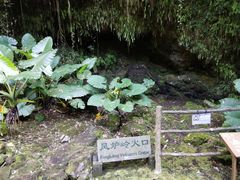 -海口火山口国家地质公园