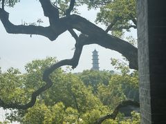 -江心屿景区