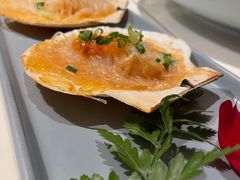 扇贝-生如夏花泰式火锅(伊藤双楠店)