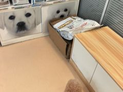 -瑞派·关忠动物医院(国瑞店)