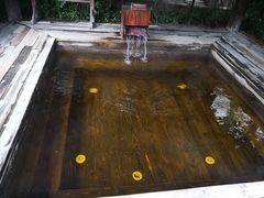 -杭州第一世界大酒店·云曼温泉