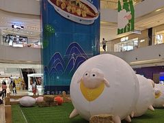 -阳光天地