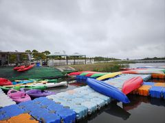 -春花秋色城市公园