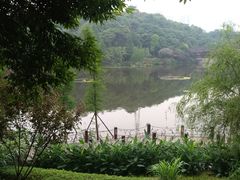 -重庆彩云湖湿地公园