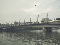 -运河游船(武林门码头)