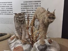 -崇州天演博物馆