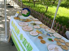-莲花池公园