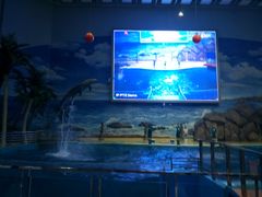 -福州罗源湾海洋世界旅游区