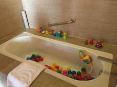 -成都蒲江花样年福朋喜来登度假酒店·宜客乐西餐厅