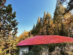 -莫干山风景区