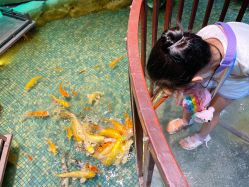 -酷嗒动物文化乐园(cutezoo西溪乐天城店)