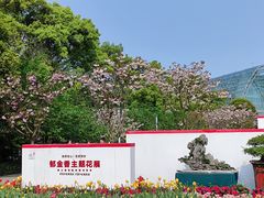 -南山植物园