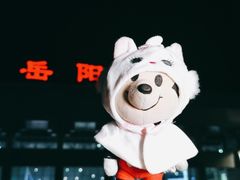 -岳阳东站