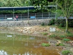 -广东茂名森林公园