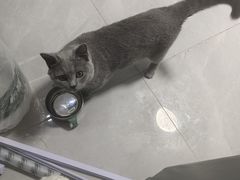 -宠颐生宠物医院外科·内科·皮肤科·影像科(石龙店)