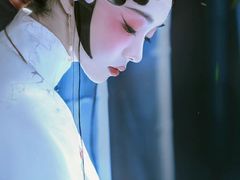 -盘子女人坊(西安至尊店)