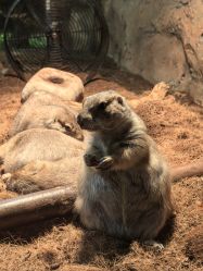 -Zoolung Zoolung动物主题公园(海信广场店)