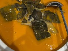 红煨甲鱼-喜湘宴·精致湖南菜(和平西桥店)