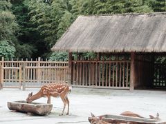-金沙遗址博物馆