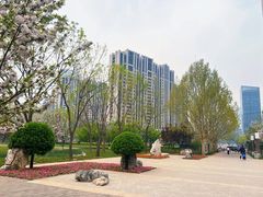 -大望京公园