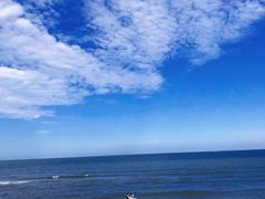 -日照海滨国家森林公园