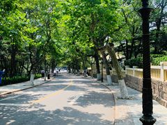 -八大关景区