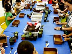 -积木宝贝科学早教(sm广场店)