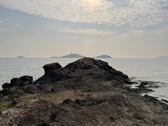 -上海市保健医疗中心