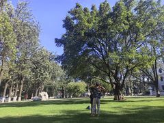 -西昌邛海宾馆