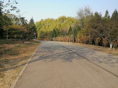 -东升八家郊野公园