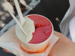 -Dip in Gelato(富民路店)