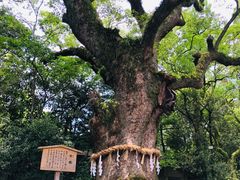 -热田神宫