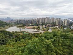 -飞凤山奥体公园